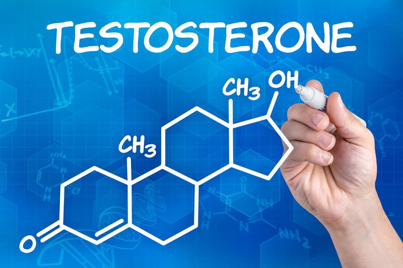 Testosteron Definition What is Testosterone?