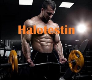 Halotestin