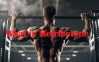 What is Metribolone