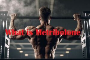 What is Metribolone