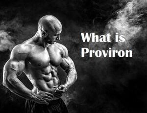 What is Proviron