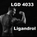 LGD 4033 (Ligandrol)