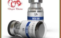 Dragon Pharma Deca 300