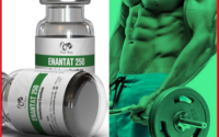 Dragon Pharma Enantat 250