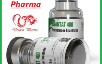 Dragon Pharma Enantat 400